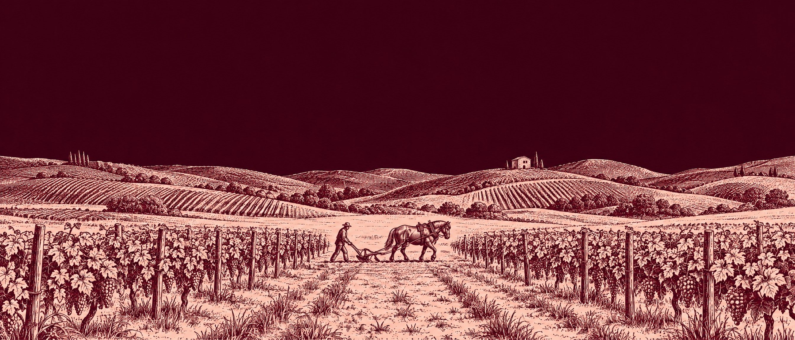 Gravure : un vigneron et son cheval de trait labourent entre les rangs de vigne, au pied de collines